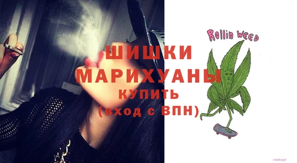 метадон Щигры
