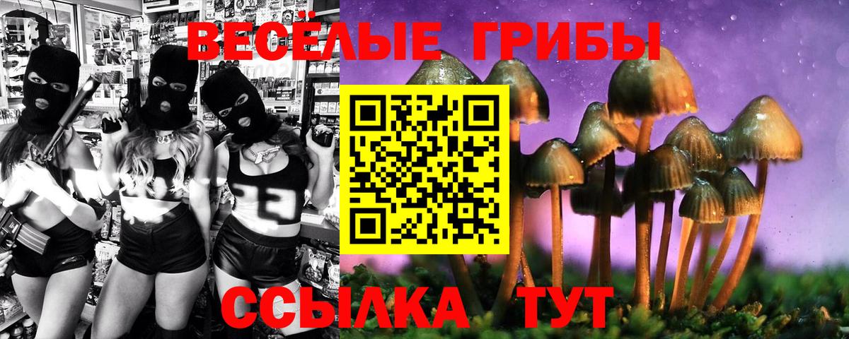 Галлюциногенные грибы Cubensis Батайск