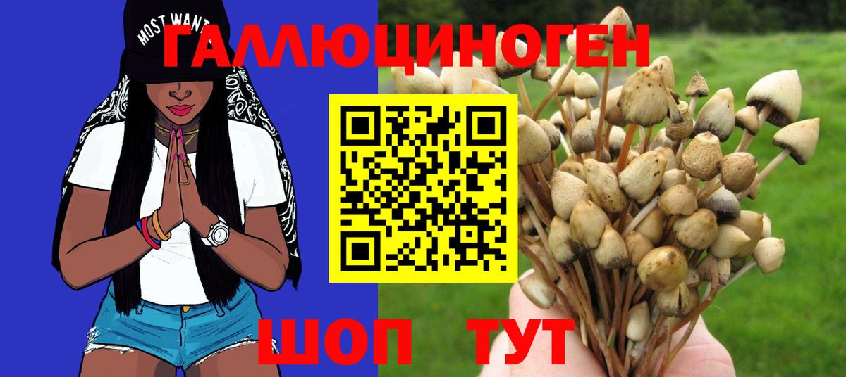 Мяу-Мяу  МДМА  ГАШ  Мефедрон  Батайск  Плюхи  Вход с VPN  Канабис  КОКАИН  APVP 
